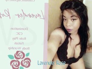 Lavender_Rose