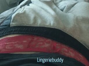 Lingeriebuddy