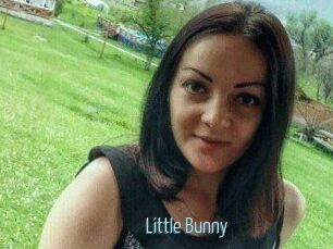 Little_Bunny_