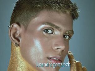Leandrogonzlezh