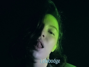 Leilabodge