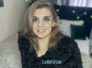 Leilarosse