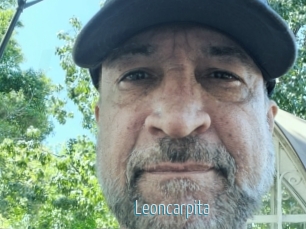 Leoncarpita