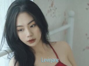 Levinjane