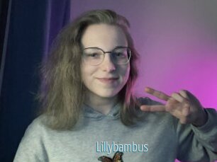 Lillybambus