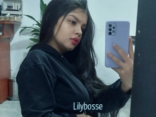 Lilybosse