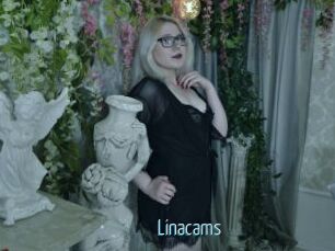 Linacams