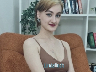 Lindafinch