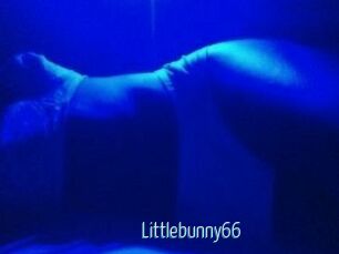 Littlebunny66