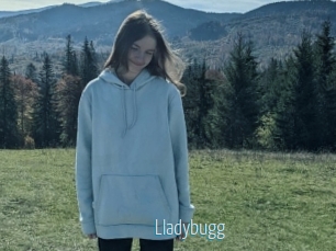 Lladybugg