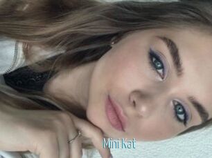 Mini_Kat