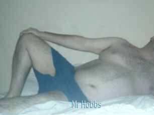 Mr_Hobbs