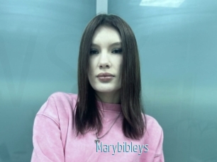 Marybibleys