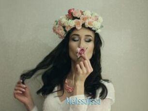 Meilssalissa