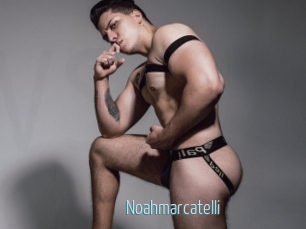 Noahmarcatelli