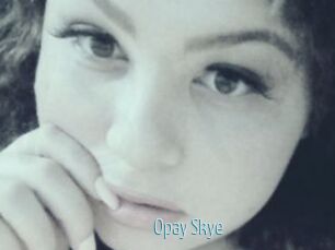 Opay_Skye