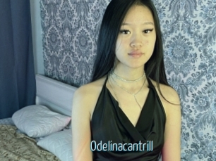 Odelinacantrill