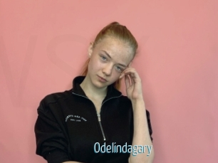 Odelindagary