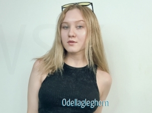 Odellagleghorn