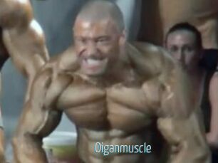 Oigan_muscle