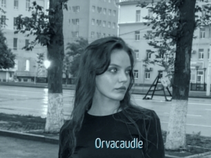 Orvacaudle