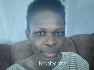 Pervated_bitch