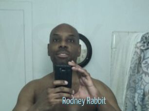 Rodney_Rabbit