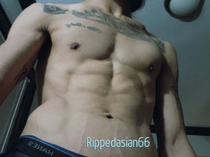 Rippedasian66