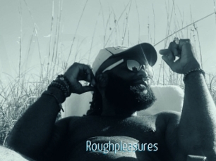 Roughpleasures