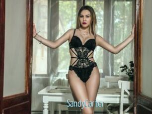 SandyCarter