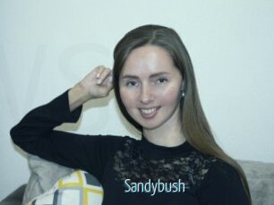 Sandybush