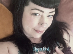 Skylar_bird