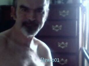 Stewco01