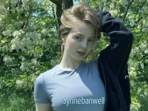 Synnebanwell