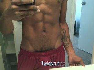 Twinkcut22