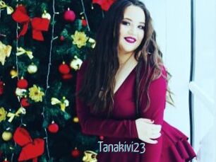 Tanakivi23