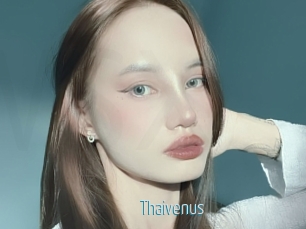 Thaivenus