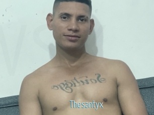 Thesantyx