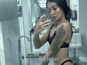 Tiny_taylorr