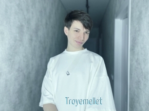 Troyemellet