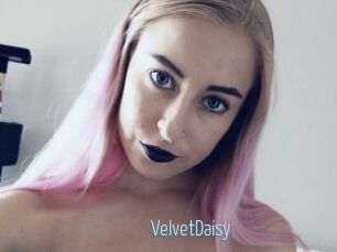 VelvetDaisy