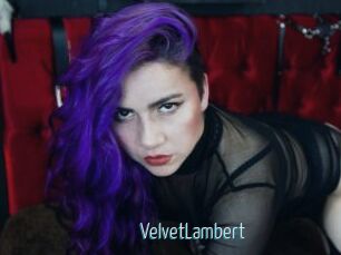 VelvetLambert