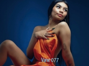 Vane_077