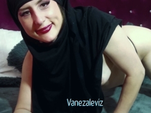 Vanezaleviz