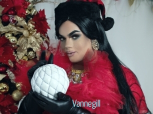 Vannegill