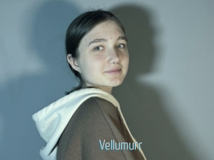 Vellumurr