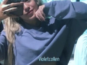 Violetcollen