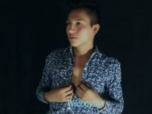 Wildboysex