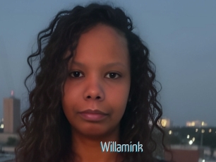 Willamink