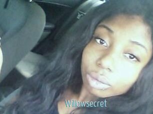 willow_secret Video Sexe